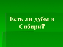 Есть ли дубы в Сибири?