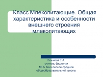 Общая характеристика и особенности внешнего строения млекопитающих