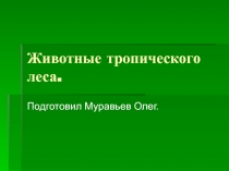 Животные тропического леса