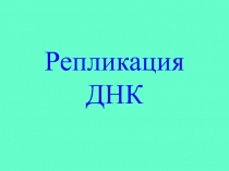 Репликация ДНК