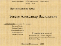 Зевеке Александр Васильевич