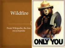 Wildfire