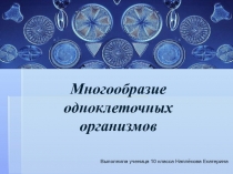 Многообразие одноклеточных организмов