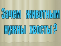 Зачем животным нужны хвосты?