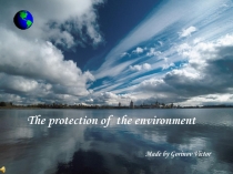 The protection of the environment