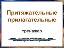 Притяжательные прилагательные