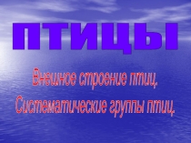 Птицы