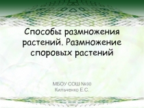 Способы размножения растений. Споровые растения