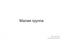 Малая группа