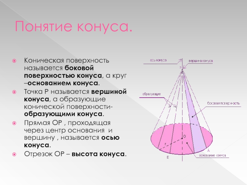 Основание и вершина конуса. Понятие конуса. Коническая поверхность. Образующая конуса. Боковая поверхность конуса.