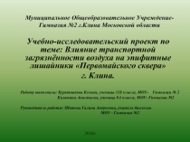 Влияние транспортной загрязненности воздуха на лишайники