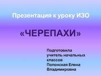 Черепахи