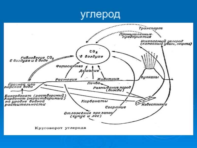 Круговорот углерода в природе схема 9 класс