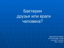 Бактерии друзья или враги человека?