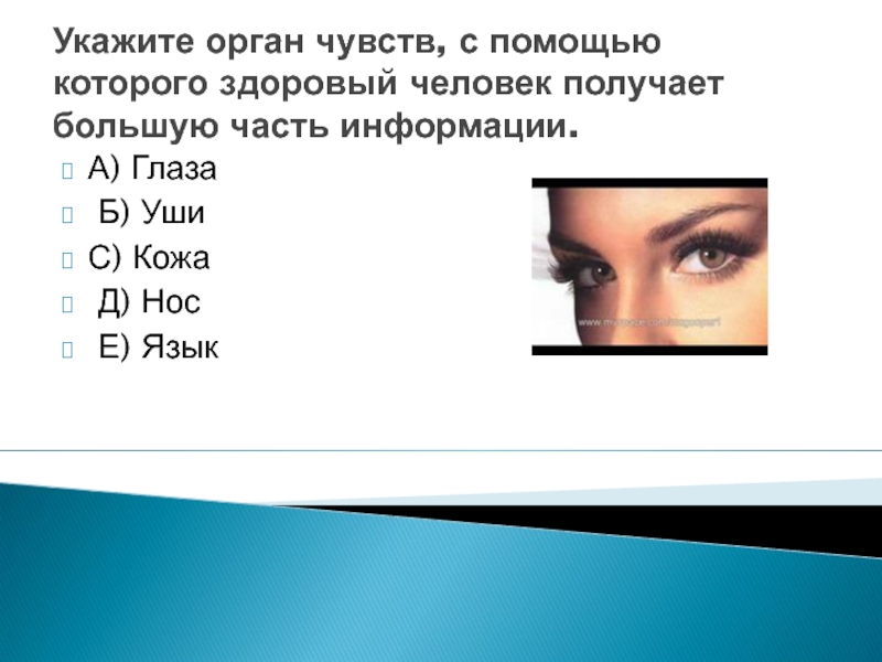 Запиши общее название органов указанных на рисунке нос глаза ухо кожа