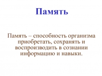 Память, обучение