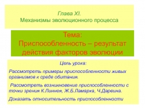 Приспособленность - результат действия факторов эволюции