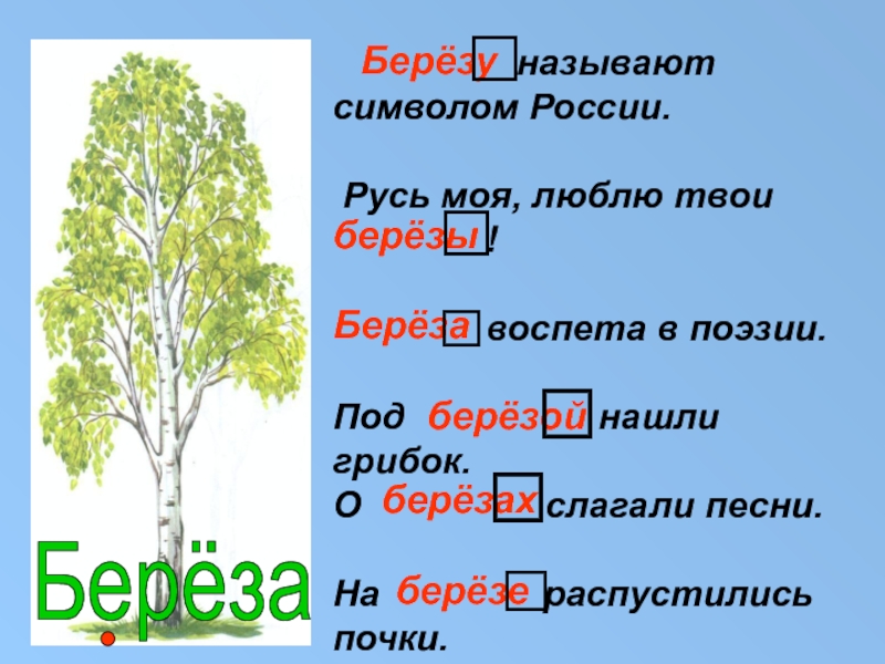 Береза слово какая. Березу называют символом России. Проект береза моя березонька. Береза березонька антонимы. Береза кличка.