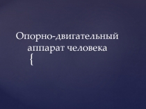Опорно-двигательный аппарат человека