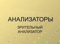 Анализаторы. Зрительный анализатор