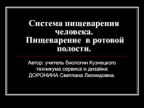 Система пищеварения человека