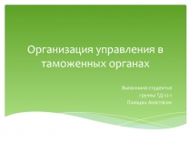 Организация управления в таможенных органах