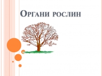 Органи рослин