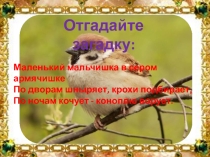 Викторина 