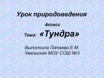 Тундра