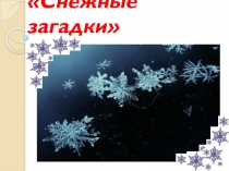 Снежные загадки