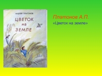 Цветок на земле Платонов А.П.