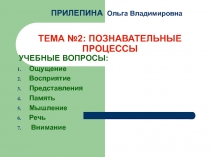 Познавательные процессы