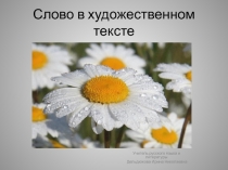 Слово в художественном тексте