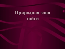 Природная зона России: Тайга