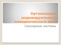 Организация индивидуального поведенческого акта