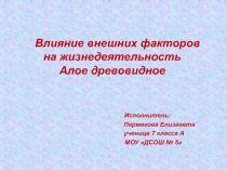 Влияние внешних факторов на жизнедеятельность Алое