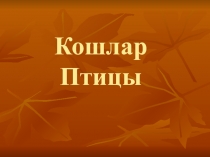 Кошлар Птицы