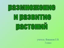 Размножение и развитие растений