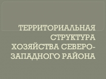 Территориальная структура хозяйства Северо-западного района