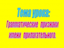 Грамматические признаки имени прилагательного