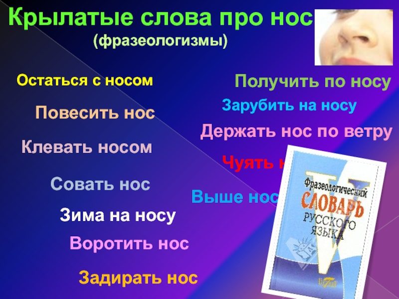 Держать нос по ветру значение. Что значит держать нос по ветру. Остаться с носом синоним фразеологизм. Значение выражения держать нос по ветру. Совать нос значение.