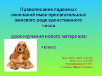 Правописание падежных окончаний имен прилагательных женского рода единственного числа