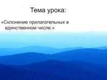 Склонение прилагательных в единственном числе