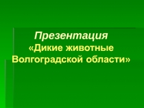 Дикие животные Волгоградской области