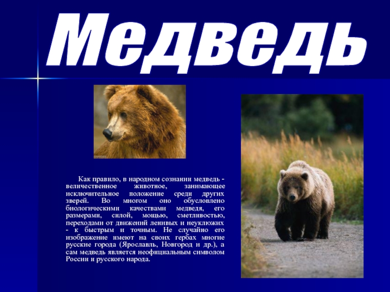 Неофициальный символ россии медведь. Медведь символ России. Неофициальные символы России медведь. Символы России для детей медведь. Народные символы России медведь.