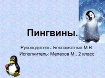 Пингвины.