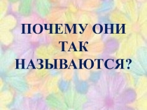 ПОЧЕМУ ОНИ ТАК НАЗЫВАЮТСЯ?