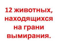 19 февраля День защиты морских млекопитающих