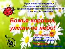 биологические особенности божьей коровки