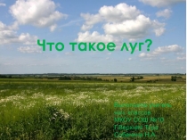 Что такое луг?